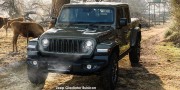 JEEP GLADIATOR RUBICON 3.6 4X4 A/T D/C P/U - 20 thumb